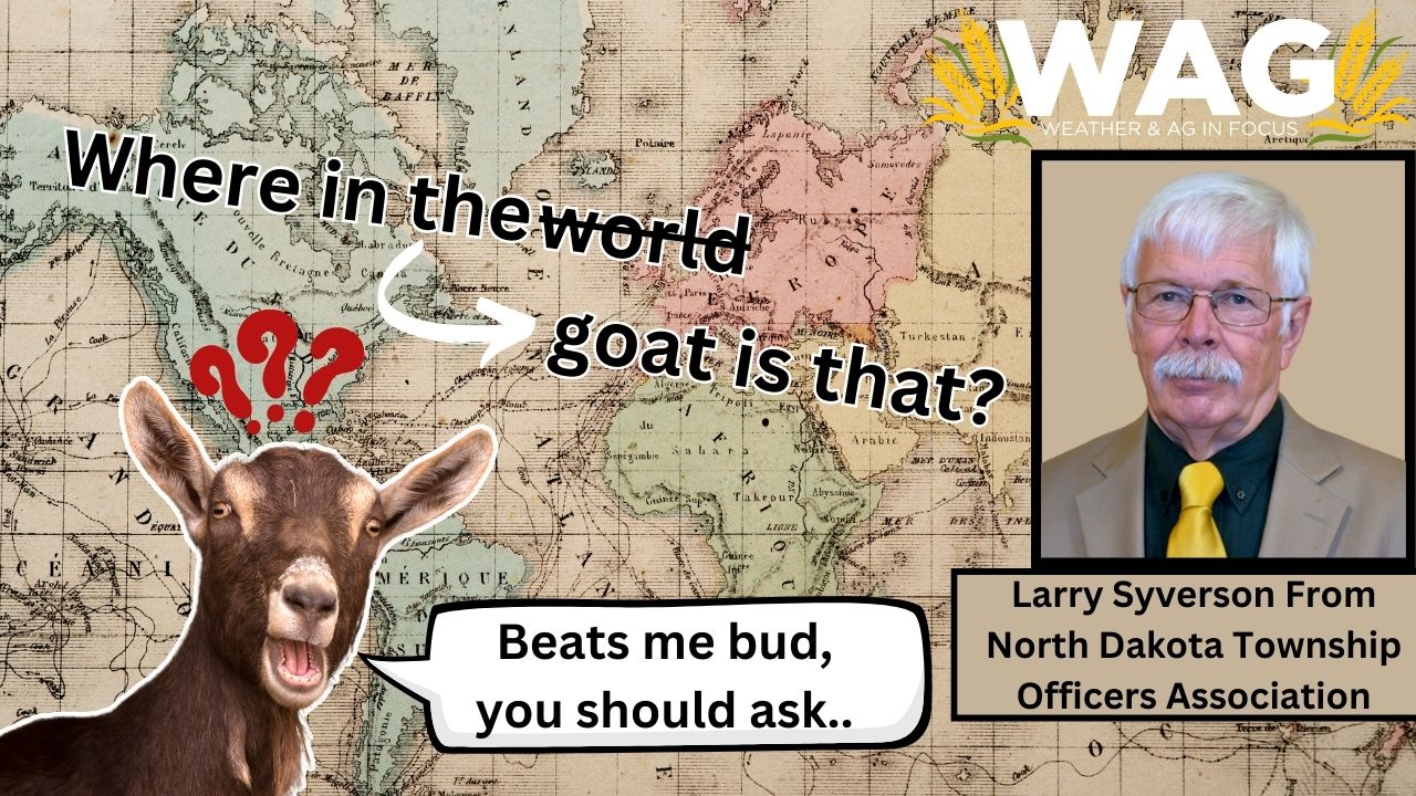 Where in the Goat is That? | WAG in Focus 1/3/24