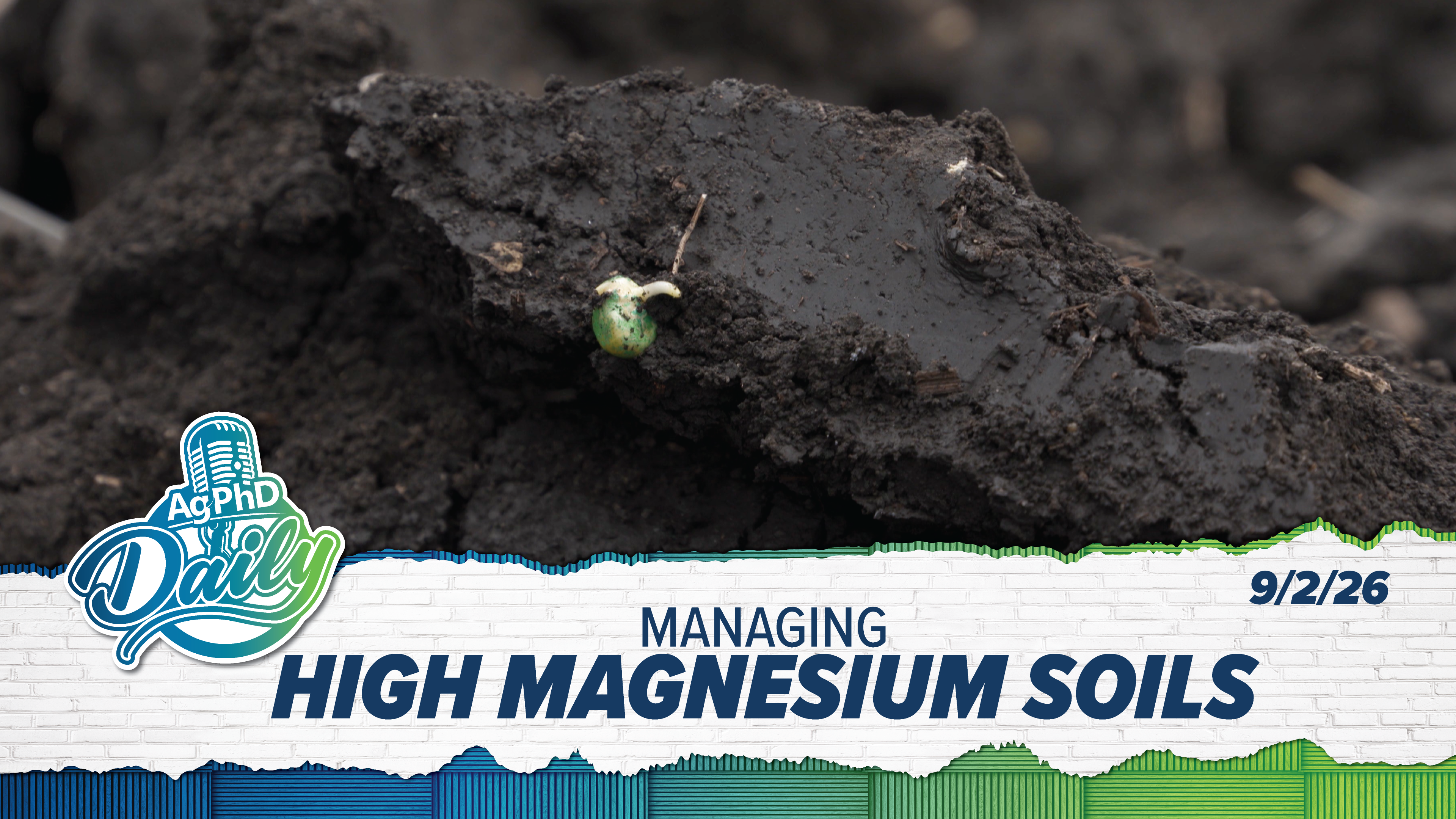 Managing High Magnesium Soils | Ag PhD Daily | 09/02/26