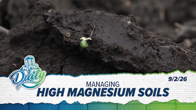 Managing High Magnesium Soils | Ag Ph...