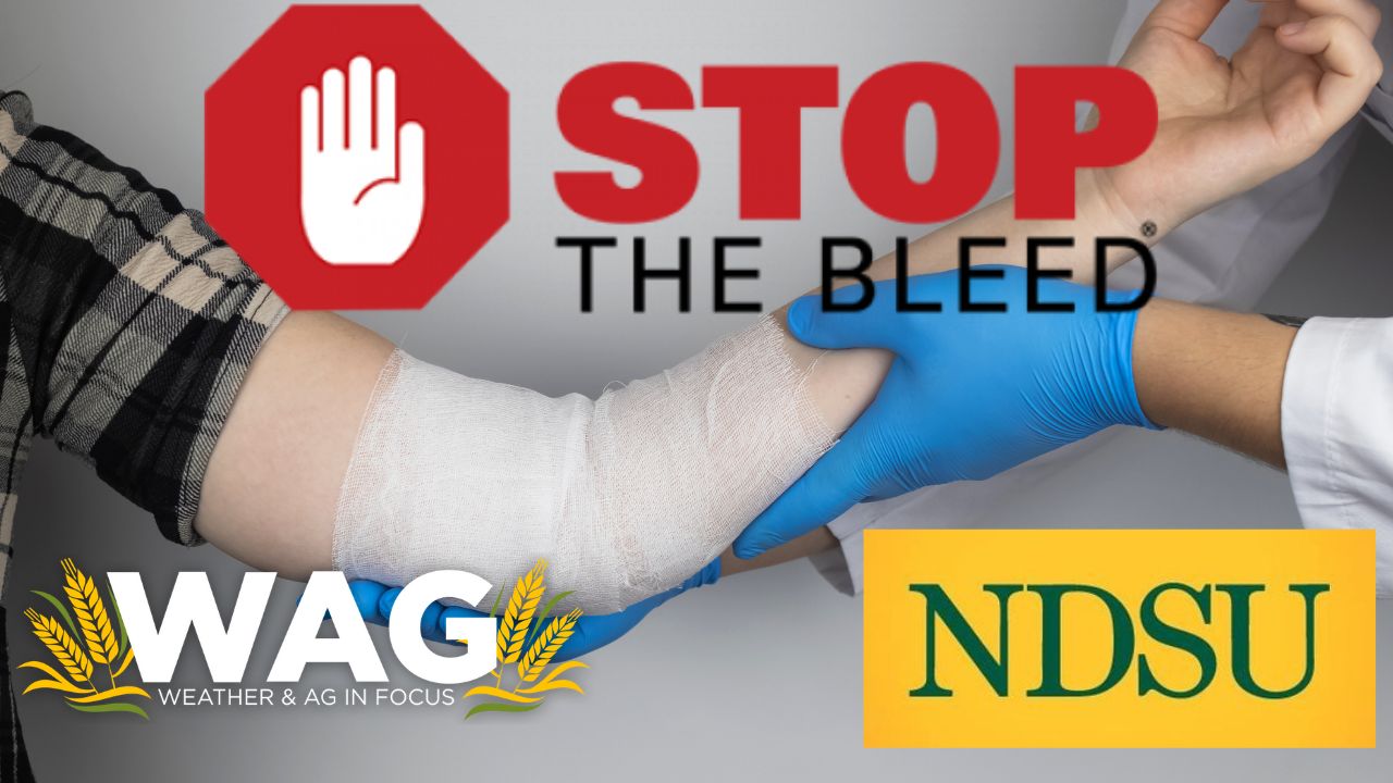 STOP THE BLEED! With NDSU Agriculture | WAG In Focus 2/1/24 - AcresTV