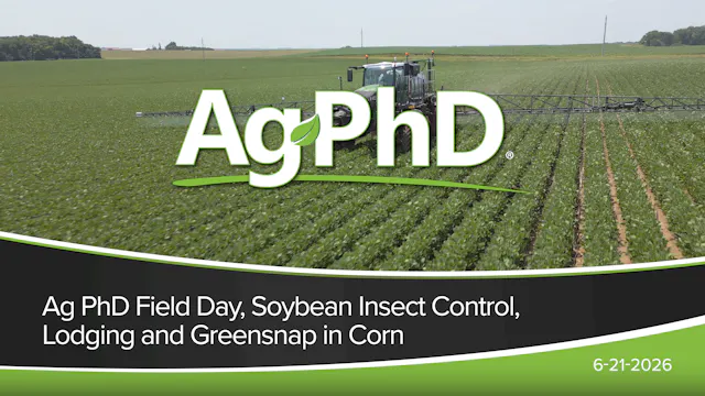 Ag PhD Field Day, Soybean Insect Cont...