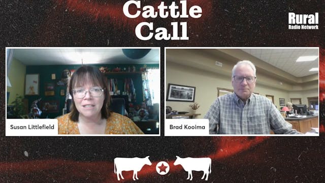 Cattle Producers Have Leverage, Cash ...