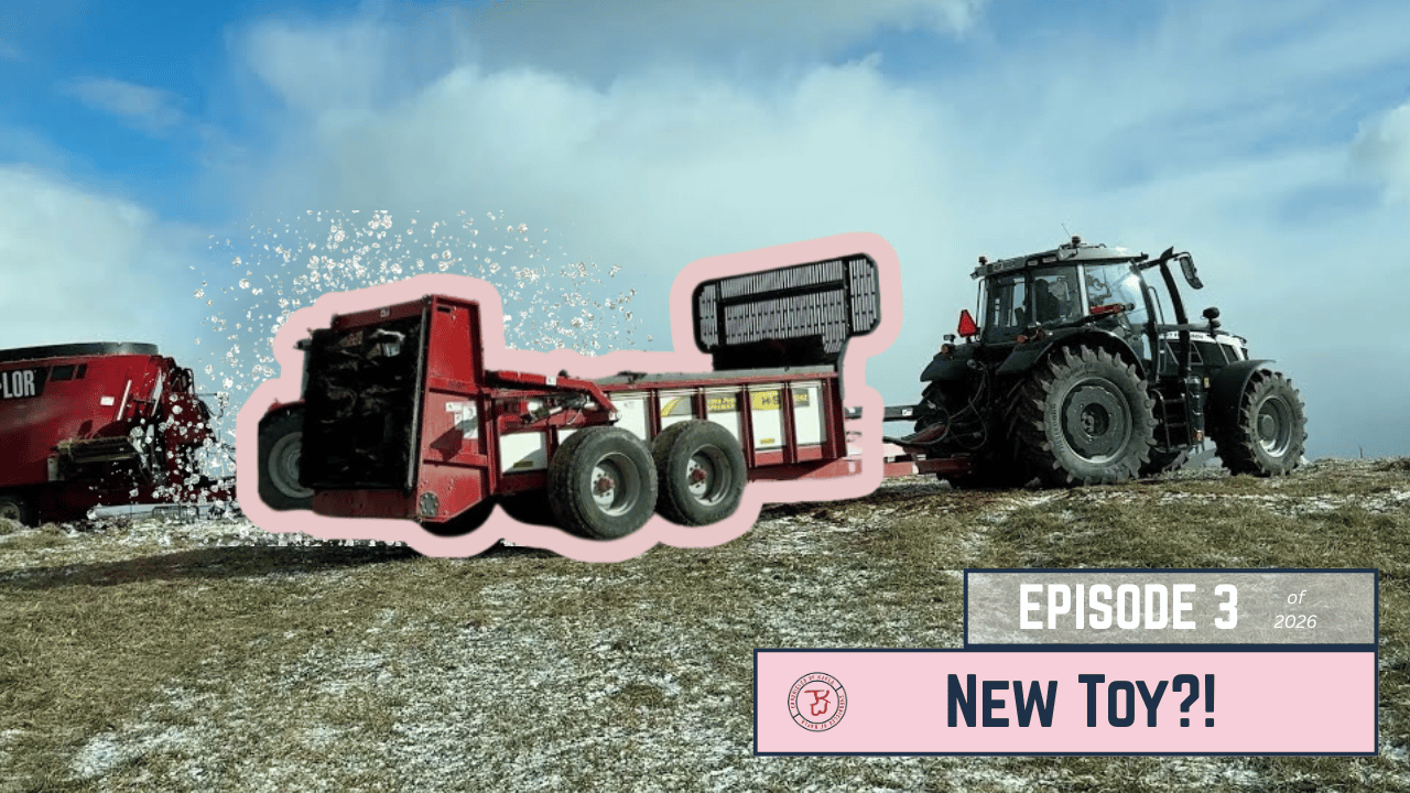 New Toy! | Chronicles of Kayla