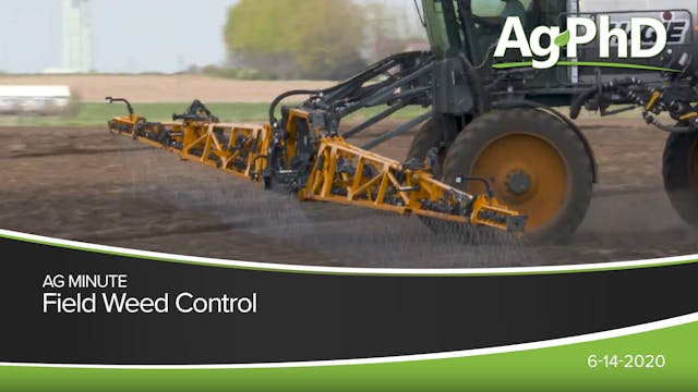 Field Weed Control