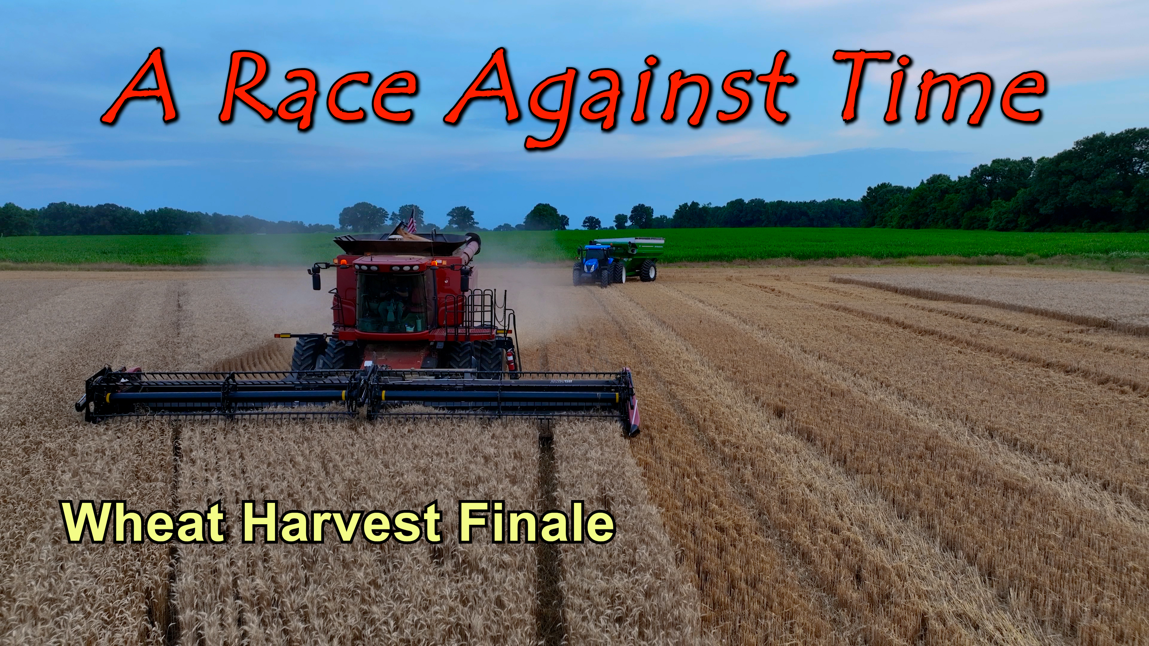 A Race Against Time Wheat Harvest #7 | Griggs Farms