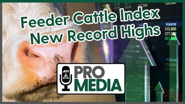 Feeder Cattle Index New Record Highs ...