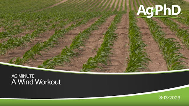 A Wind Workout | Ag PhD