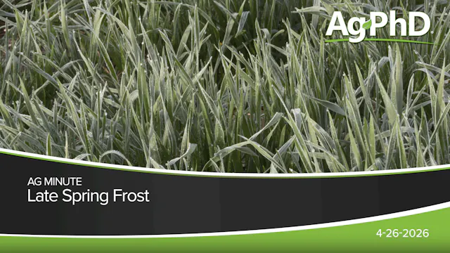 Late Spring Frost | Ag PhD