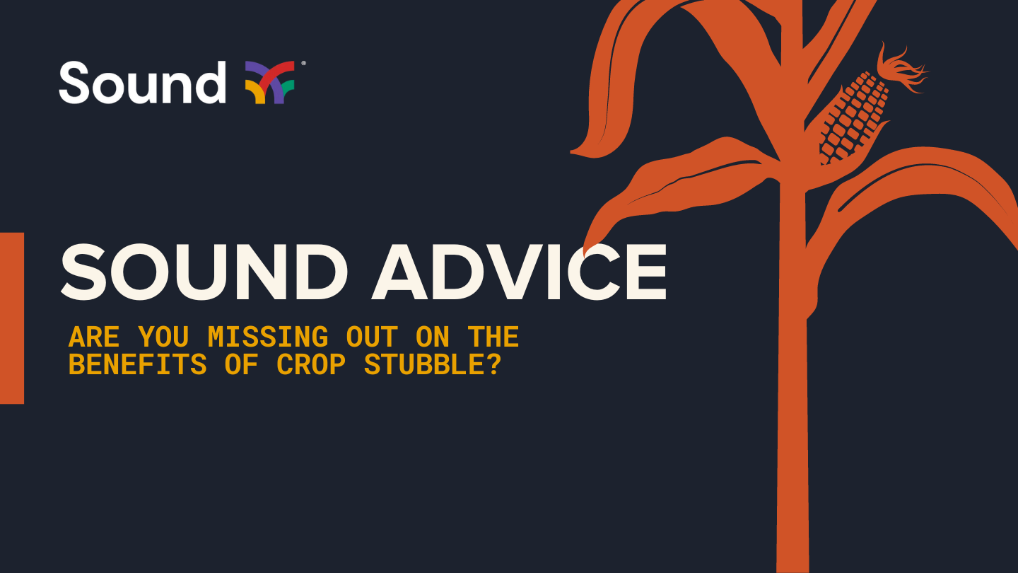 Sound Advice: Are You Missing Out on the Benefits of Crop Stubble? | Sound Ag