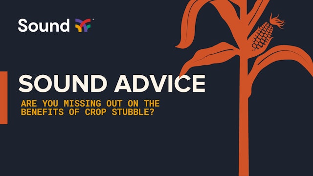 Sound Advice: Are You Missing Out on the Benefits of Crop Stubble? | Sound Ag