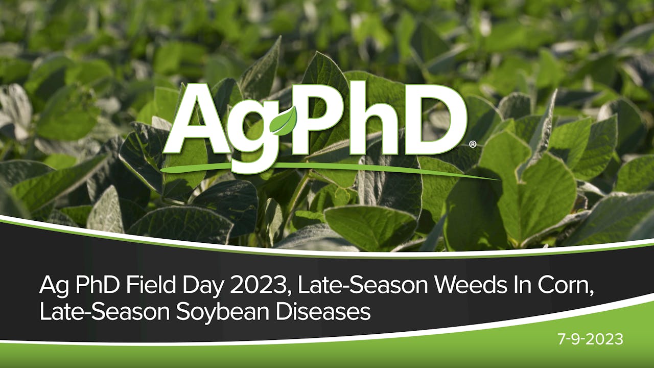 Ag PhD Field Day 2023, LateSeason Weeds In Corn, LateSeason Soybean