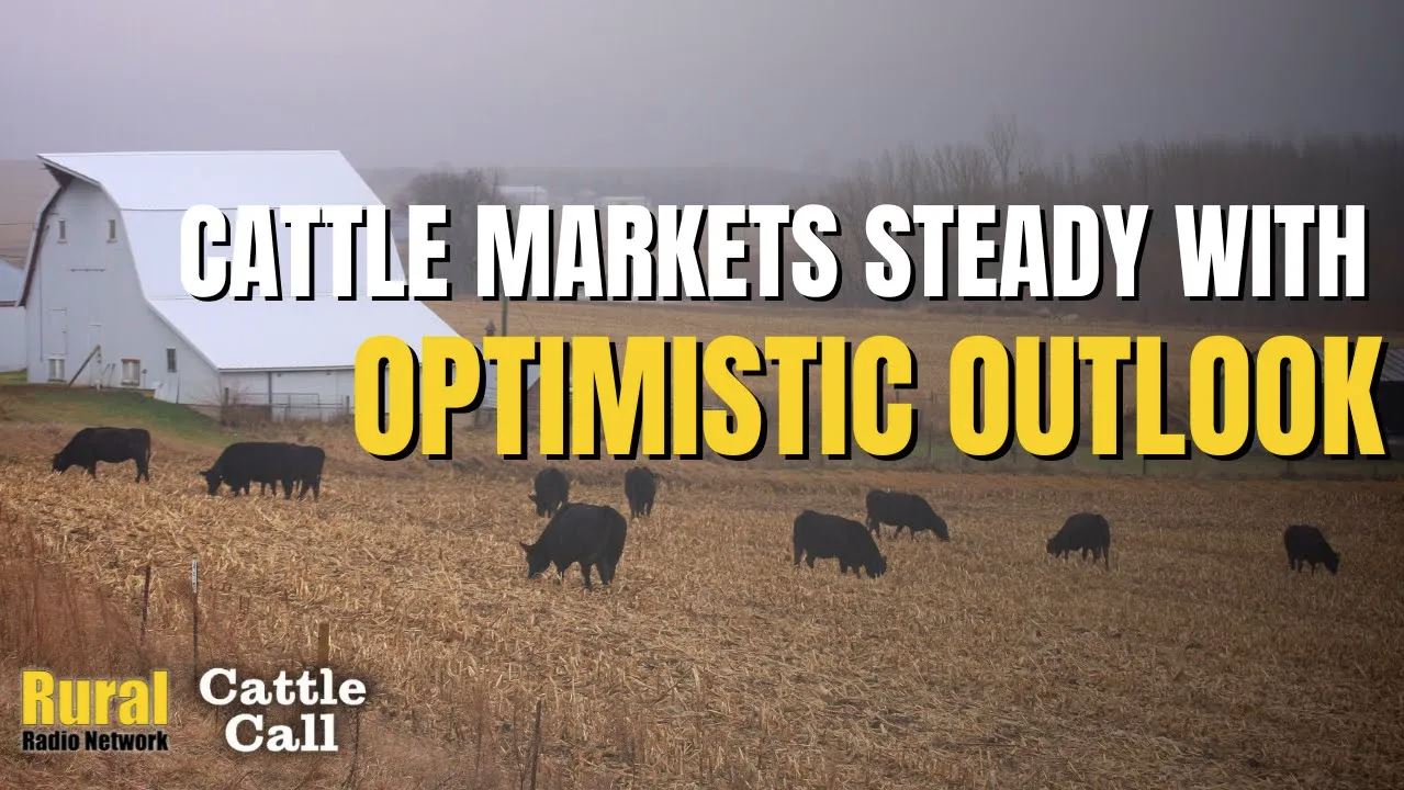 Cattle Markets Hold Steady with Optimistic Outlook | Cattle Call