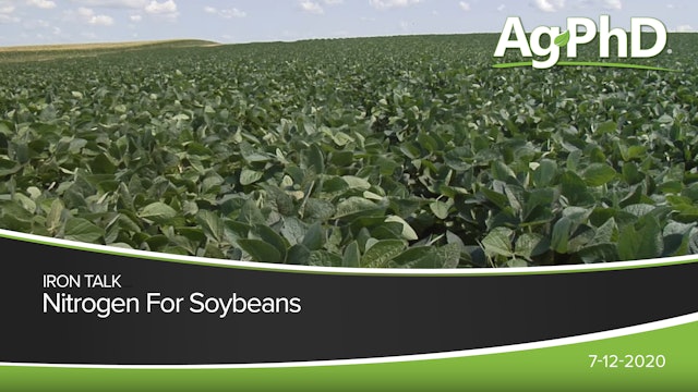 Nitrogen for Soybeans | Ag PhD