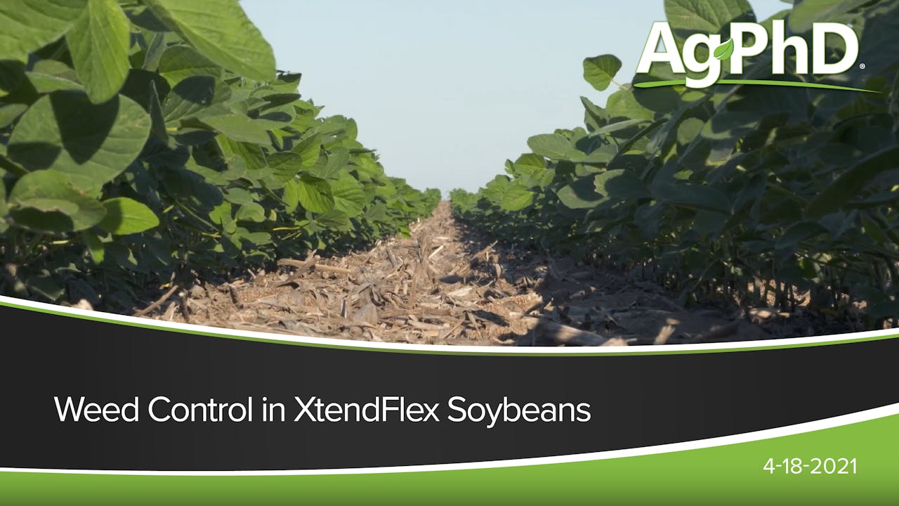 Weed Control in XtendFlex Soybeans Ag PhD 2021 AcresTV