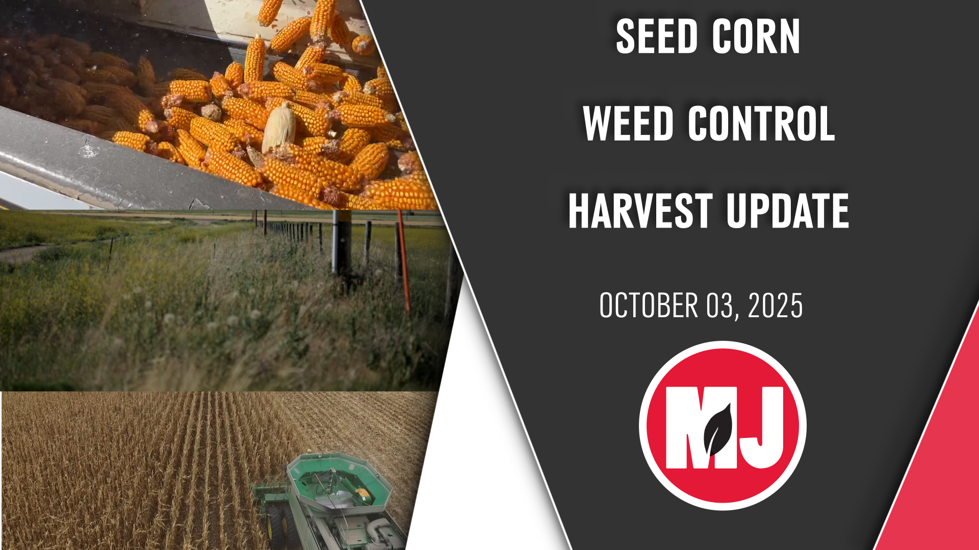 October 3, 2025 | Market Journal