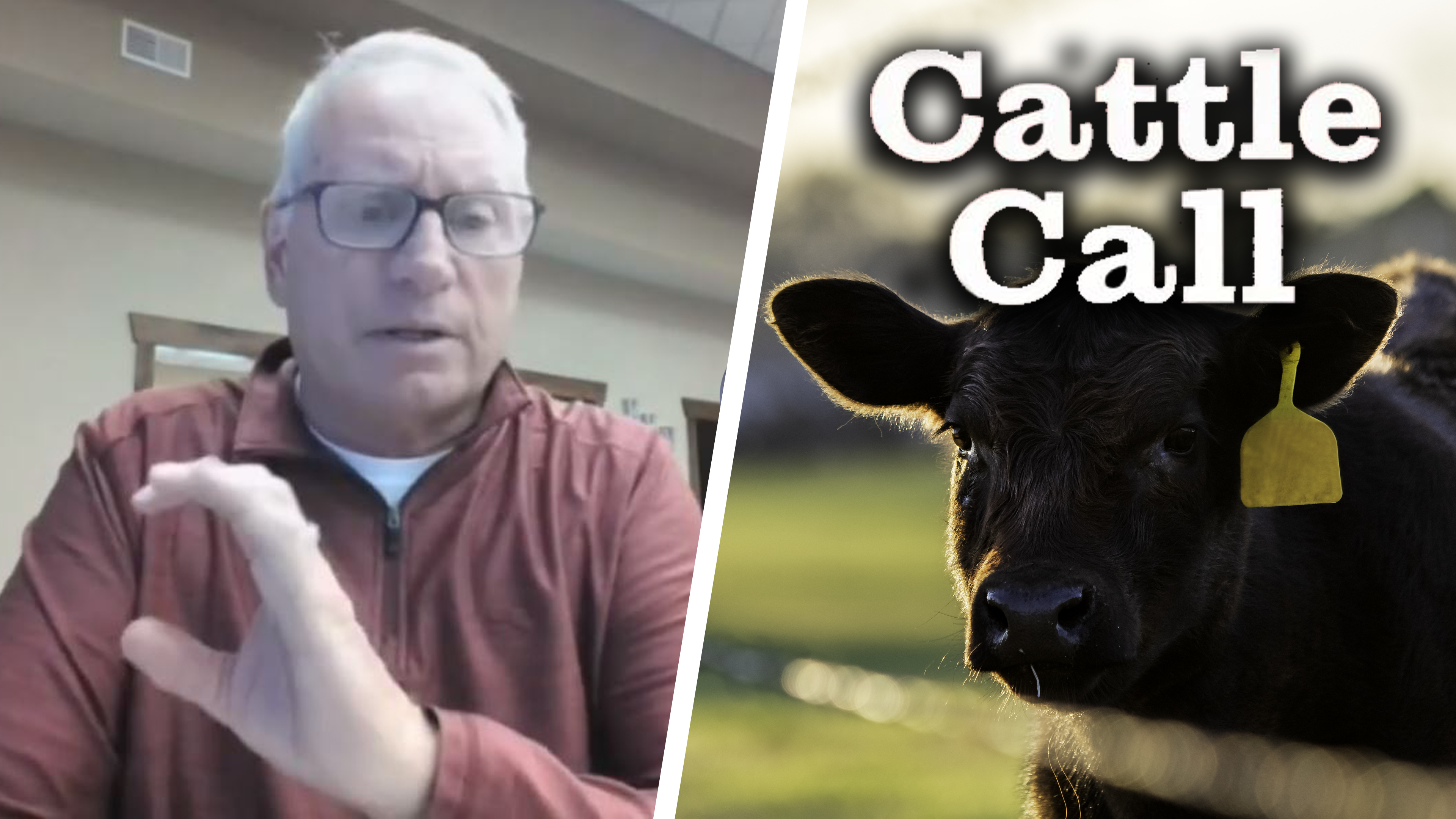 Macroeconomics Hitting Cattle Trade | Cattle Call