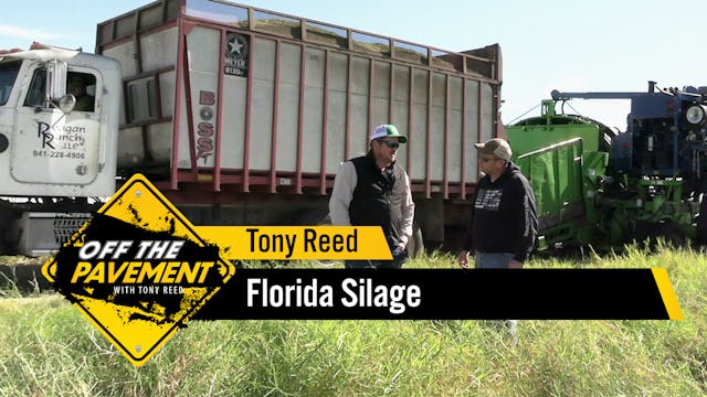 Florida Silage | Tony Reed