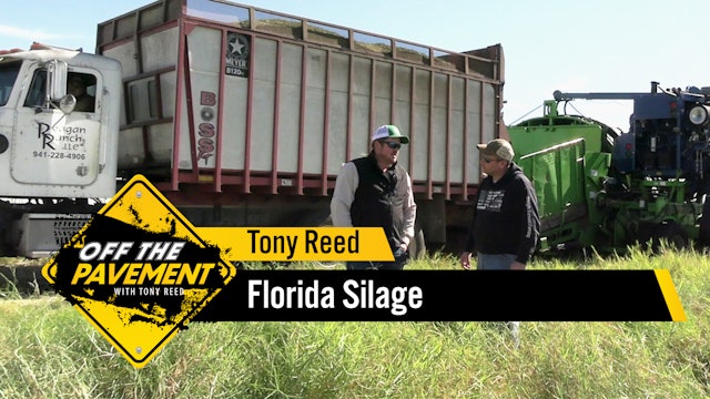 Florida Silage | Tony Reed