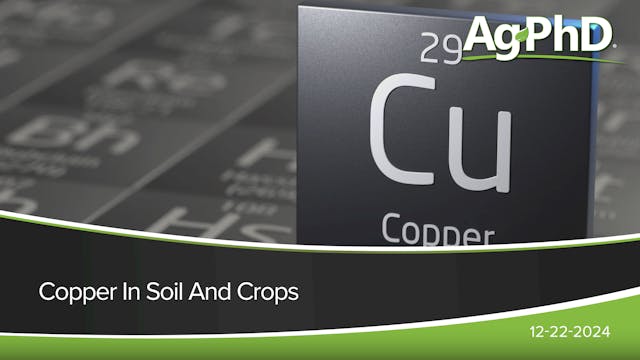 Copper In Soil And Crops | Ag PhD