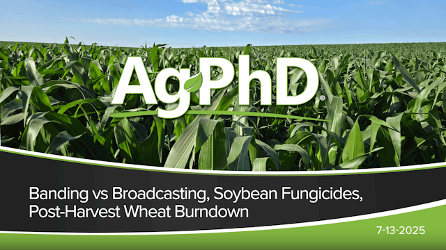 Banding vs Broadcasting, Soybean Fung...