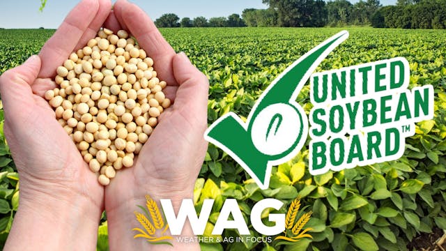 United Soybean Board Bringing New Ide...