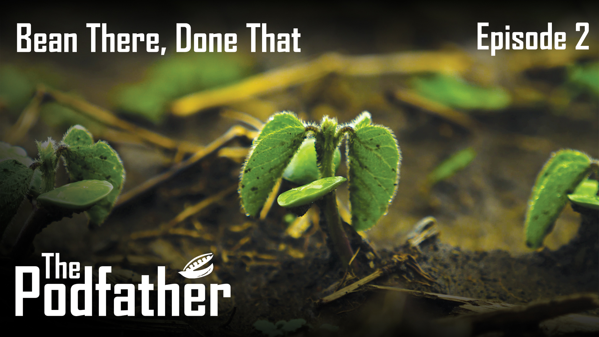 The Podfather | 102 | Bean There, Done That