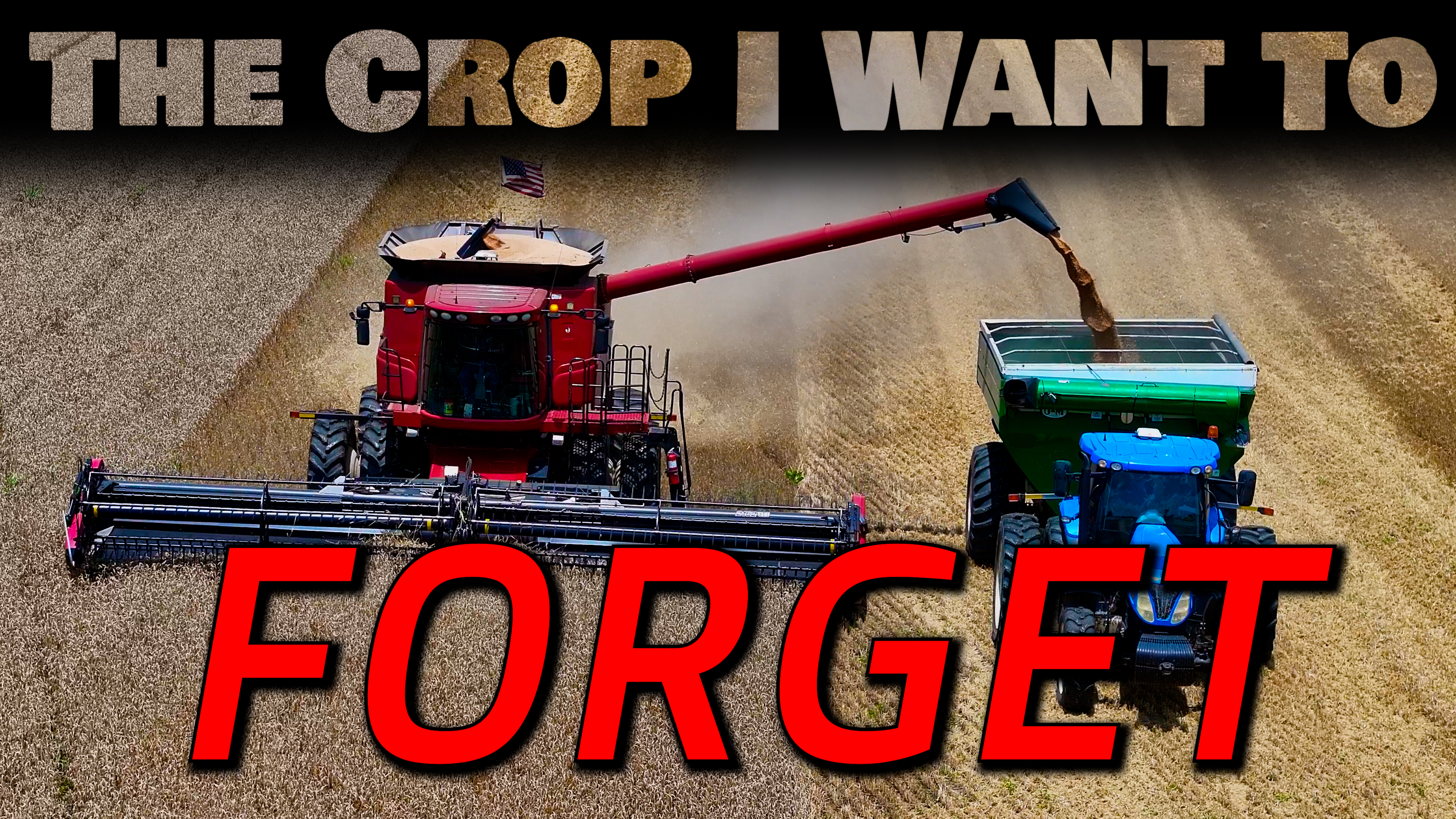 Hope We Never Have Another Crop Like This - Wheat Harvest Finale | Griggs Farms