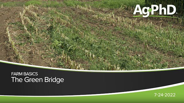 The Green Bridge | Ag PhD