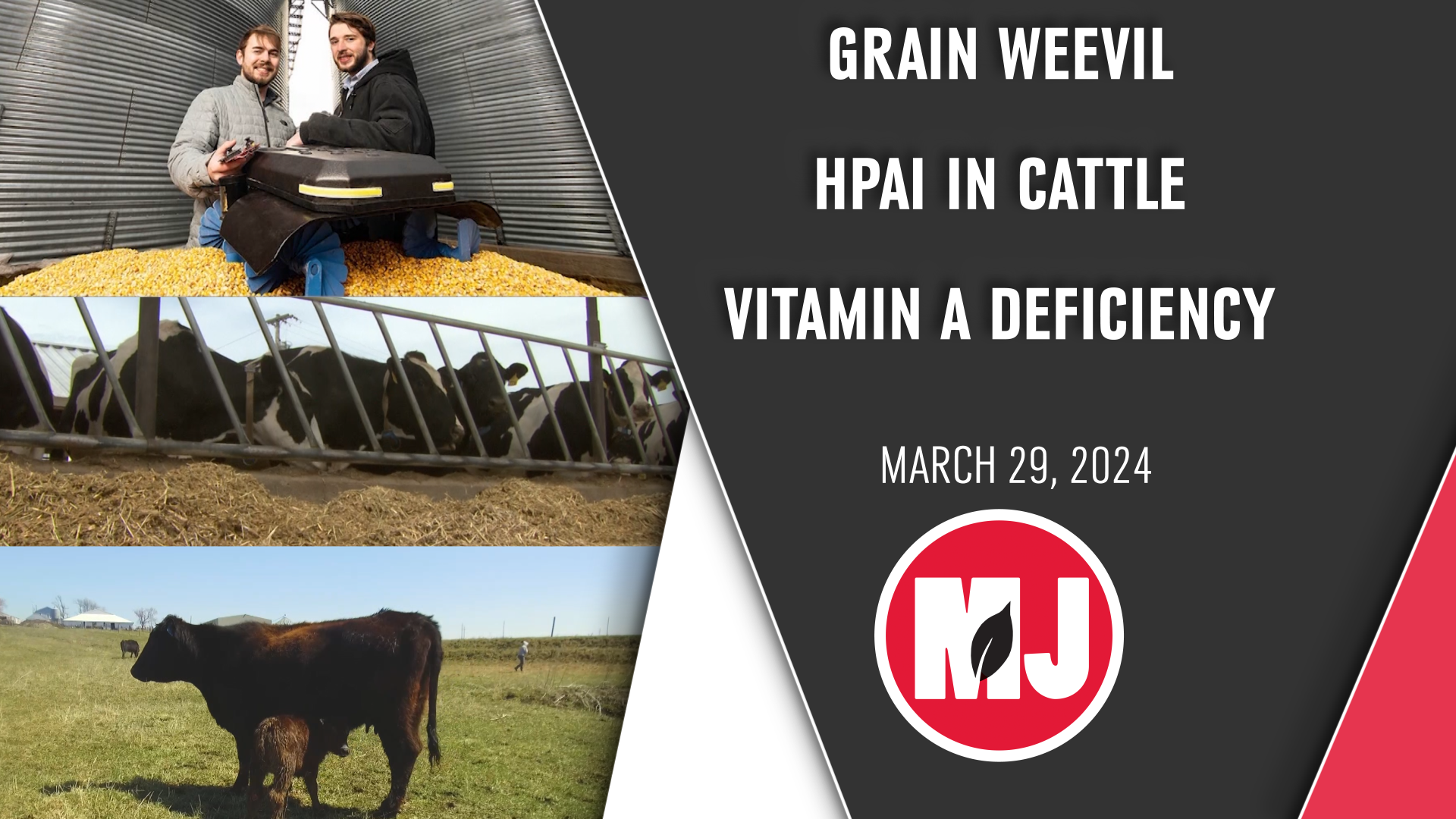 March 29, 2024 | Market Journal