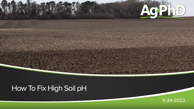 How to Fix High Soil pH | Ag PhD