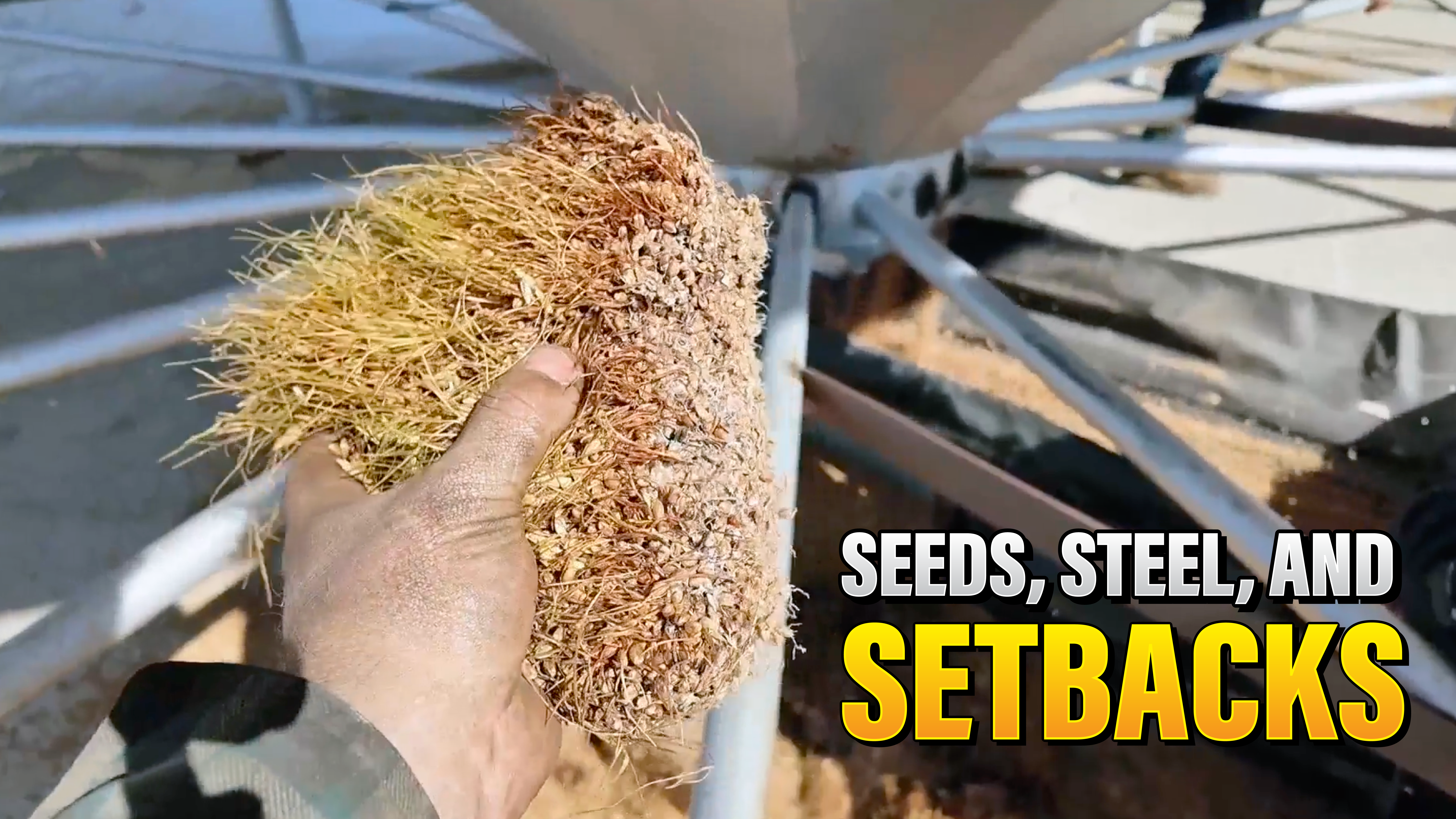 Cleaning Seed Wheat | Northwoods