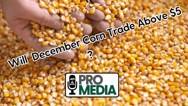 Will December Corn Trade above $5 | A...