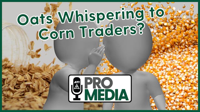 Oats Whispering to Corn Traders? | AT...