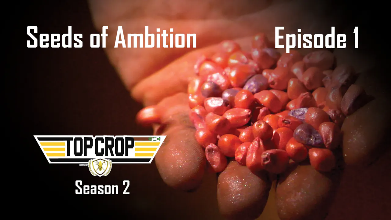 Seeds of Ambition | Episode 1 | Top Crop - AcresTV