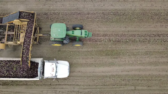 Red Onion Harvest in Washington - Aer...