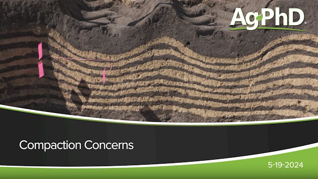 Compaction Concerns | Ag PhD