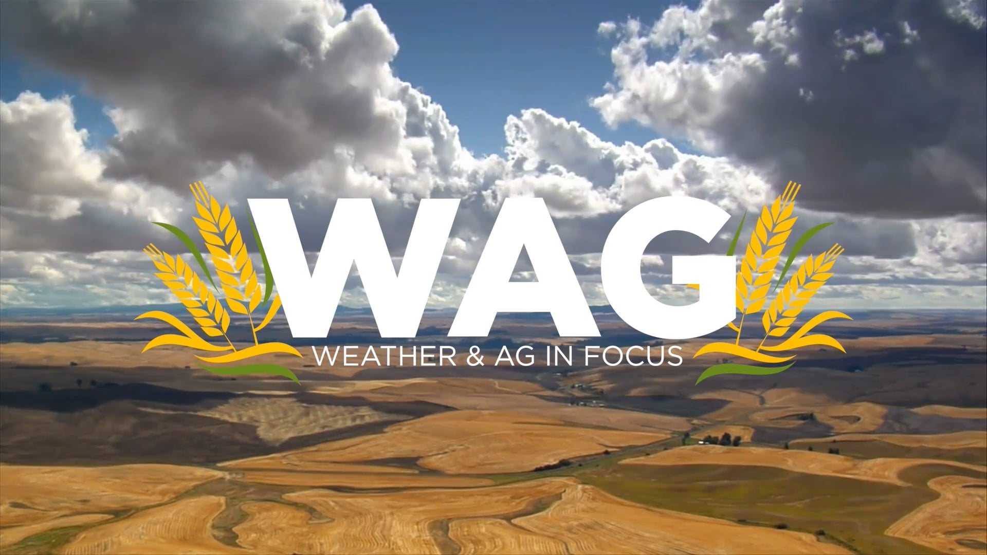 A Tractor Tribute to Grandpa | WAG in Focus 05-13-25
