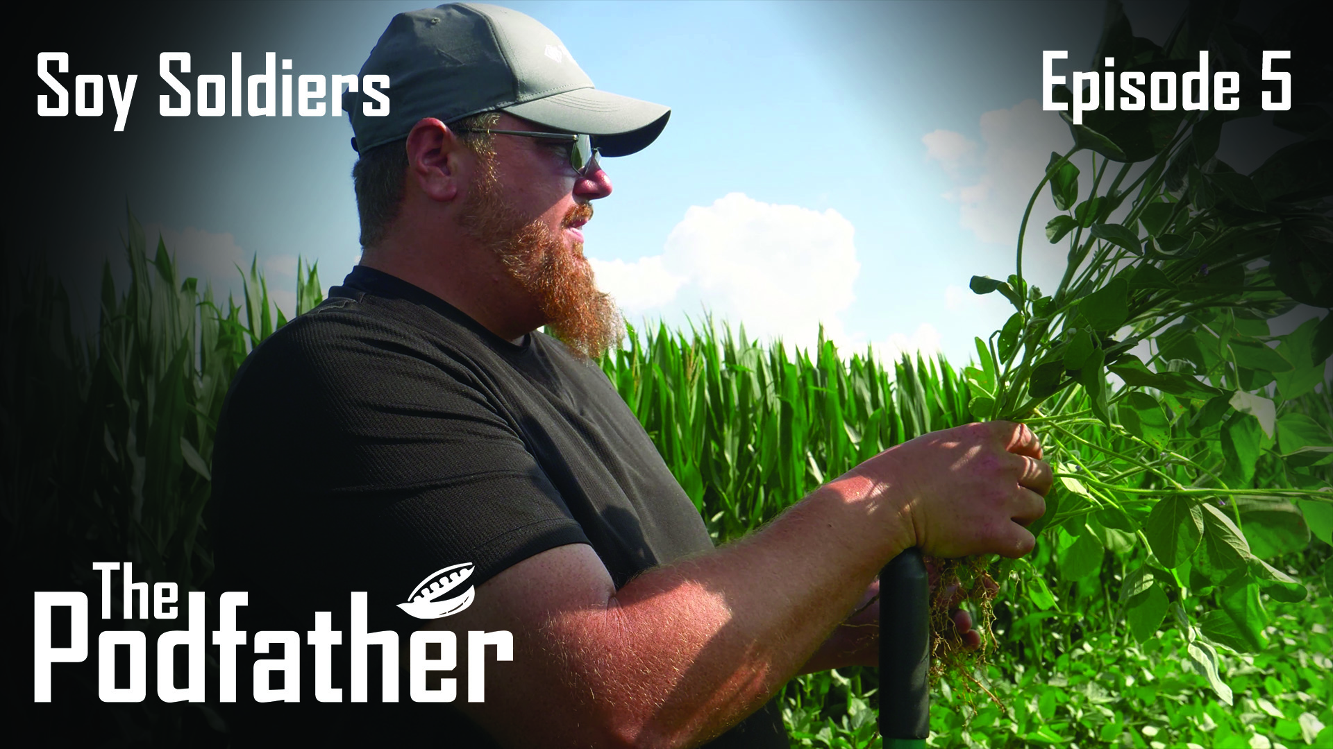 The Podfather | 105 | Soy Soldiers