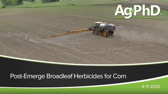 Post-Emerge Broadleaf Herbicides for Corn