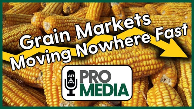 Grain Markets Moving Nowhere Fast | A...