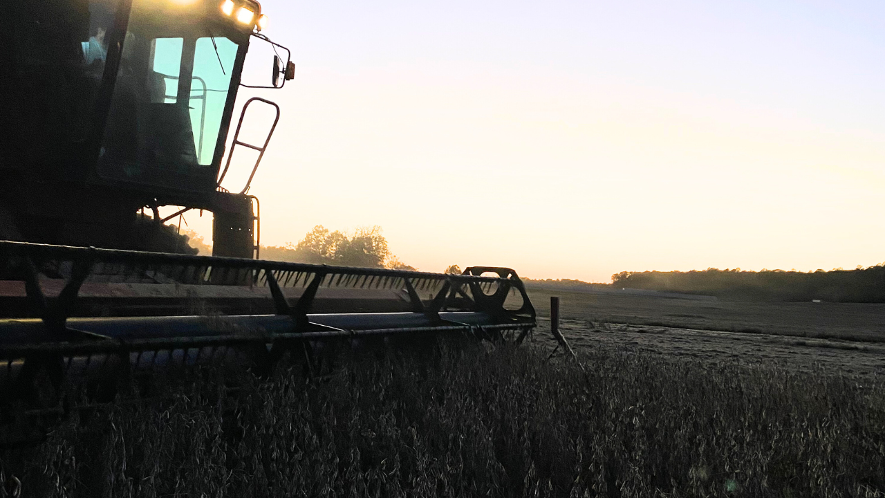 We Are Professional Farmers!!! | Farmer King