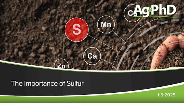 The Importance of Sulfur | Ag PhD