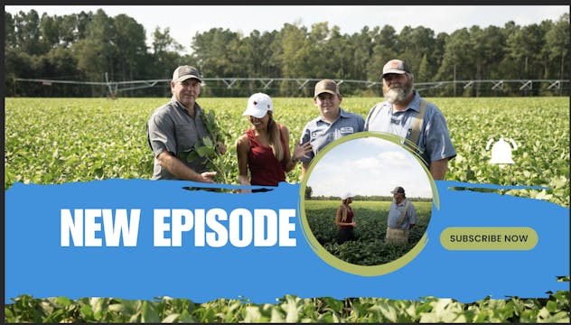 Ag on Wheels | Let's Take a Gamble Sh...