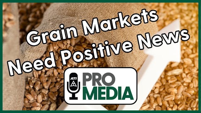 Grain Markets Need Positive News | AT...