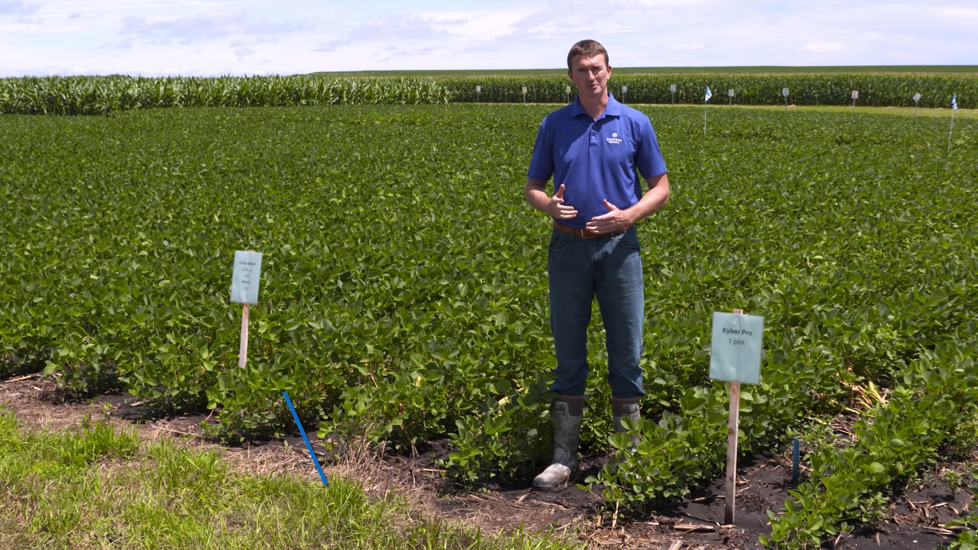 Corteva Soybean Residuals | Corteva