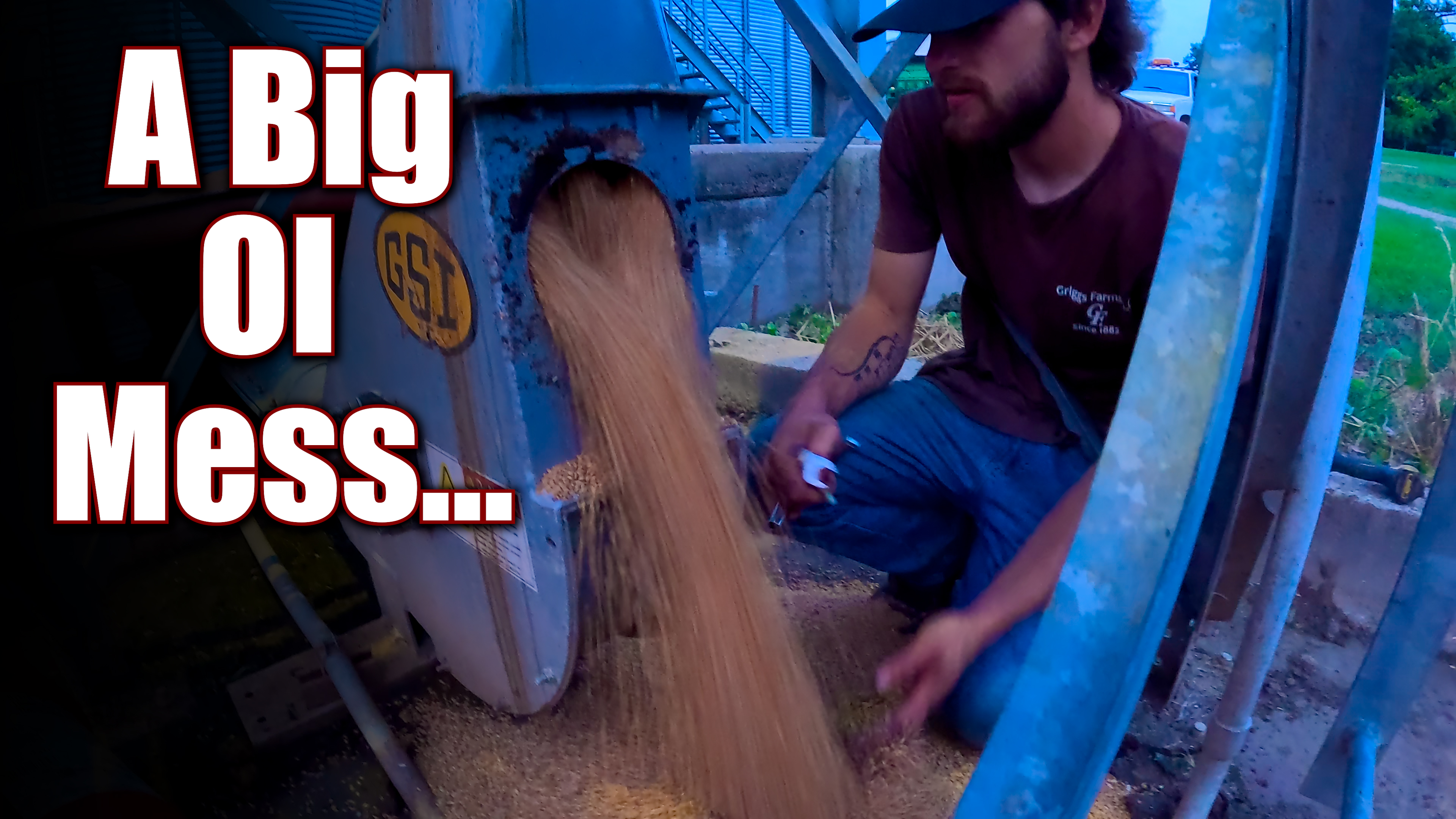 The Extreme Option...Wheat Harvest #1 | Griggs Farms