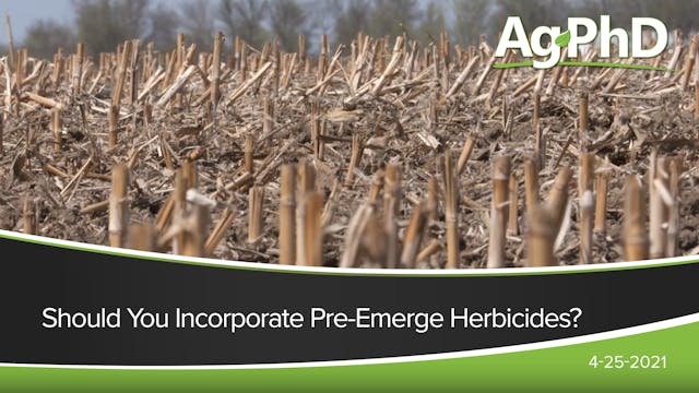 Should You Incorporate Pre-Emerge Her...