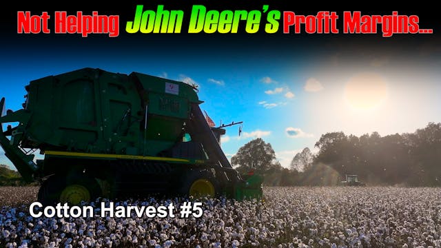 This Disaster Crop Is Hurting More Th...