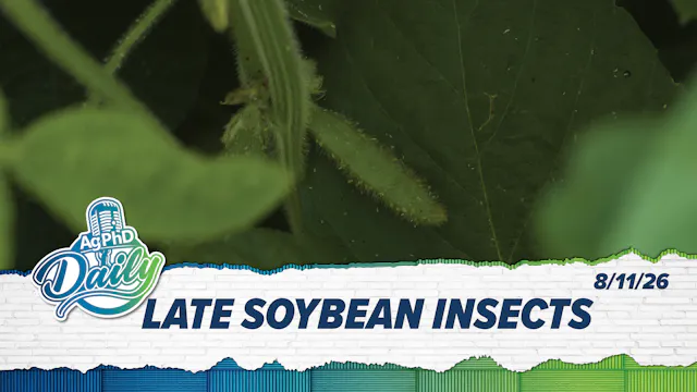 Late Soybean Insects | Ag PhD Daily |...