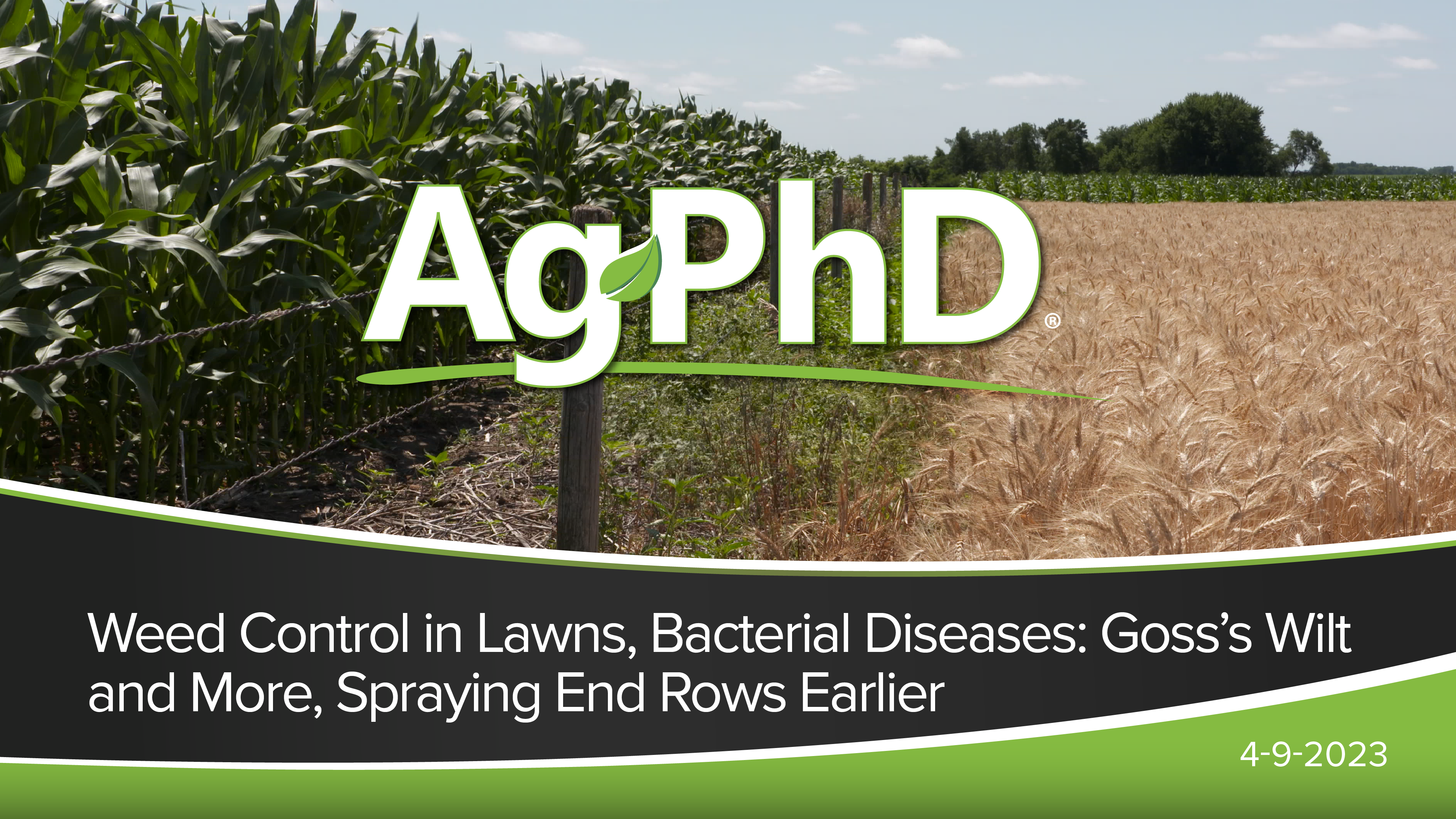 Weed Control in Lawns, Bacterial Diseases, Spraying End Rows Earlier | Ag PhD